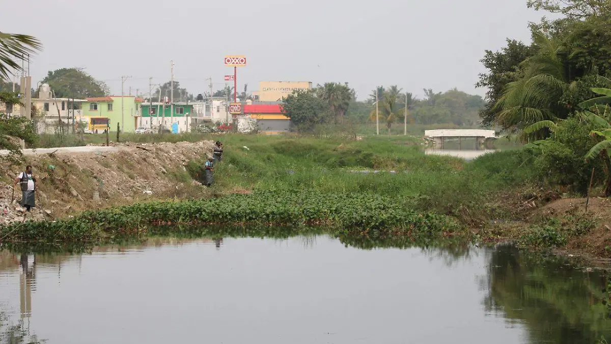 Insoportable la presencia de mosquitos en el sector norte de Ciudad Madero